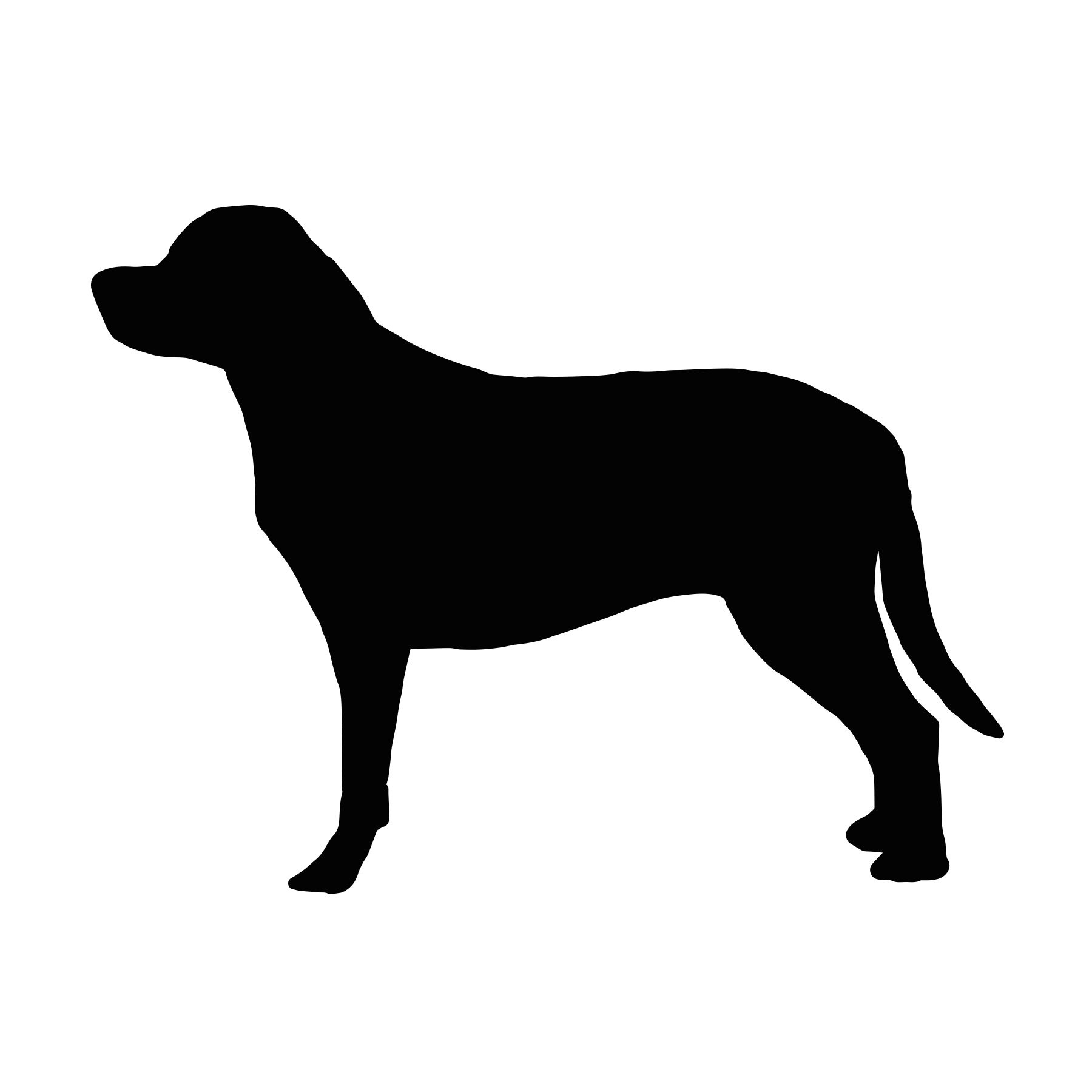 Labrador-Retriever Home